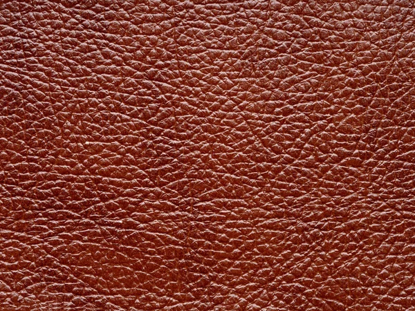 Genuine Brown Color Leather Skin Natural Design Lines Pattern Red — Stock Photo, Image