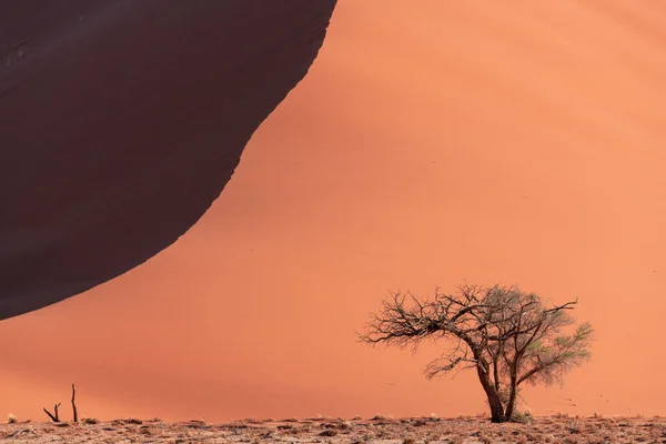 Die Berühmte Düne Der Südliche Teil Der Namib Wüste Namib — Stockfoto