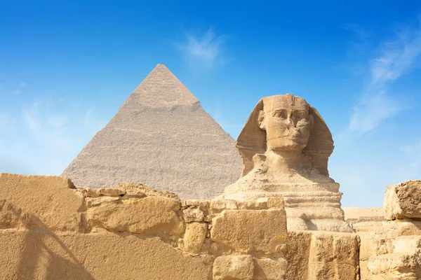 Egyptiska Sfinxen Helkropps Porträtt Med Huvud Fötter Med Alla Pyramider — Stockfoto