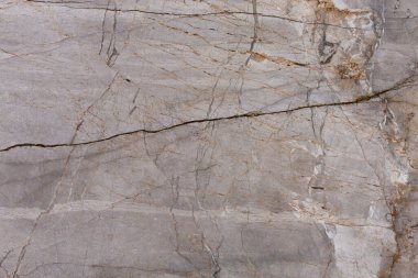 Gümüş kökler - doğal mermer taş, arka planın mükemmel iç yapısı için levha dokusu fotoğrafı. Yeni ekstra popüler mermer dokusu. Ev tasarımı için arka plan. Seramik duvar döşemeleri olarak kullanılan desen