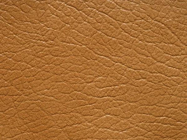 Bright Soft Beige Light Brown Color Leather Skin Natural Design — Stock Photo, Image