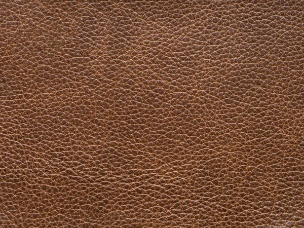 Beige Light Brown Color Leather Skin Natural Design Lines Pattern Fotos De Stock