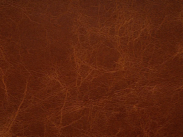 Luxury Brown Leather Textured Surface Genuine Quality Empty Leather Pattern Εικόνα Αρχείου