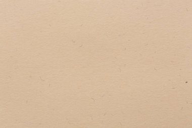 Bright tan paper pattern, background, vintage, retro, empty blank space page with grunge stain line pattern for text creative, backdrop, wallpaper and any design in extremely high resolution.