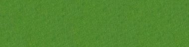 Green felt background based on natural texture. High quality panoramic seamless texture, pattern for artwork.