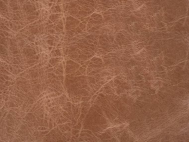 Soft beige leather natural texture, matte material, abstract background. Genuine quality empty pattern use as wallpaper or backdrop, text, lettering, wall screen saver, 3d art work. Faux eco material.