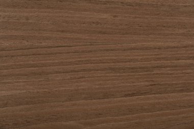 Evrensel kahverengi renkli yeni pahalı fındık kaplaması. Yüksek çözünürlüklü yüksek kaliteli doku..