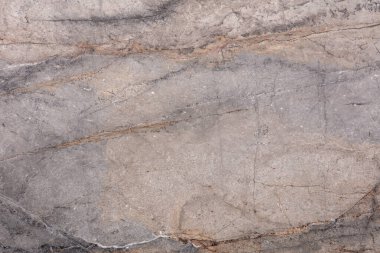 Silver Roots Mermer arkaplan, yeni tasarım projeniz için stil tonu.