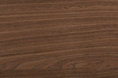 Kahverengi tonda mükemmel bir fındık kaplaması. Yüksek çözünürlüklü yüksek kaliteli doku..