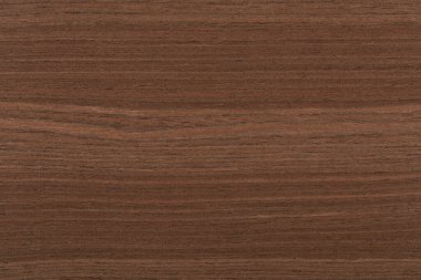 Moda tasarımının bir parçası olarak mükemmel bir meşe kaplaması. Yüksek çözünürlüklü yüksek kaliteli doku..