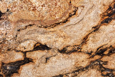 Natural Sedna - granite background, beautiful photo of slab texture for your individual design work.