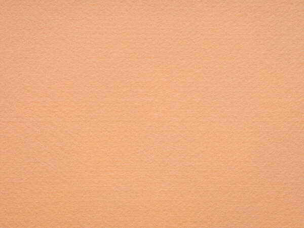 An apricot-kissed textured canvas unfolds a narrative of comfort, earthiness, and a welcoming ambiance with a subtle elegance