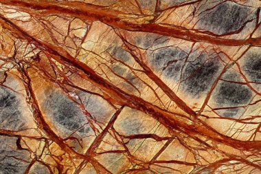 Güzel Yağmur Ormanları Yeşil Ekstra - mermer arka plan, yeni modern tasarımın için doğal desen ve şık renkler..