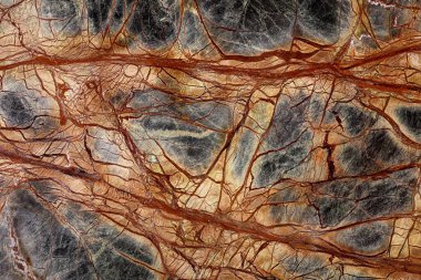 Mükemmel Yağmur Ormanları Yeşil Ekstra - mermer arka plan, eşsiz tasarımınız için pahalı renklerde doğal doku.