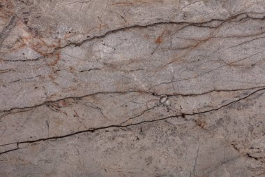 Silver Roots Mermer arka planı, yeni ev tasarımınız için şık renklerde doku.