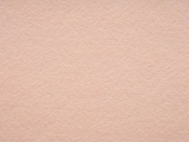 Bu resim, yumuşak şeftali tonları ve ince kumaş dokusuyla sakinleştirici bir varlık yayarak narin bir keçeli yüzey sergiliyor.