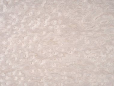 Bu akçaağaç yuvası kaplamasında ince bir akçaağaç ve krem etkileşimi karmaşıklığın özünü yakalar, doğal deseni organik güzellik ve sükunetin öyküsünü oluşturur.