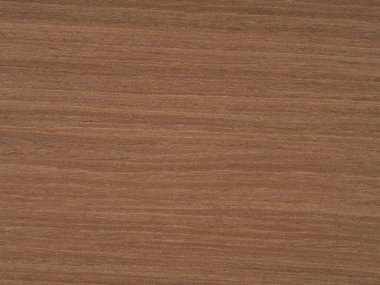 Görüntü, tarçından yanmış Sienna 'ya kadar bol renkli bir duvar halısıyla maun bir kaplama sunuyor. Sıcacık ve topraksı bir zarafet ve pürüzsüz cilalanmış bir kaplama.