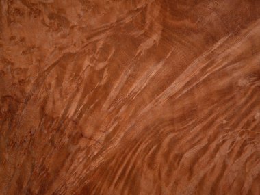 Bu çarpıcı görüntü medresenin eşsiz güzelliğini gözler önüne seriyor. Sıcaklık ve doğal zarafeti çağrıştıran zengin tarçın renginde yüzeyi süpüren sıvı tahıl dalgalarıyla işaretlenmiş.