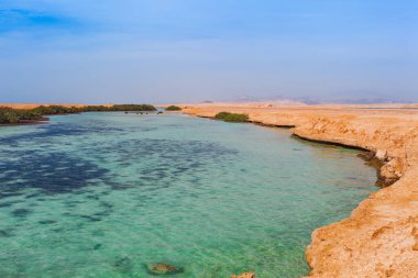 Ras Mohammed Milli Parkı'nda deniz kıyısı ve mangrovlar. Çölde ünlü seyahat destionation. Sharm el Sheik, Sina Yarımadası, Mısır.