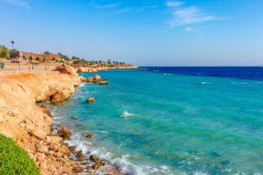 Şarm el Şeyh Kızıldeniz kıyısında palmiye ağacı ile Güneşli tatil plaj, Sina, Mısır, Asya yaz sıcak. Parlak güneşli ışık