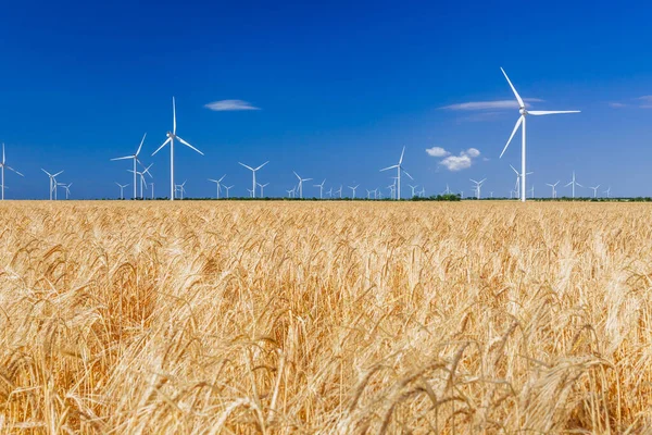 Turbinas Eólicas Que Geram Eletricidade Campo Eco Poder Ecologia Conceito — Fotografia de Stock