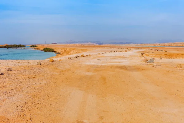 拉斯穆罕默德国家公园的海岸和红树林 沙漠中著名的旅游胜地 沙姆沙伊赫酋长 西奈半岛 — 图库照片