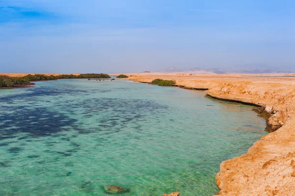 ラスモハメッド国立公園の海沿岸とマングローブ 砂漠の有名な旅行の減少 シャルム シェイク シナイ半島 エジプト — ストック写真