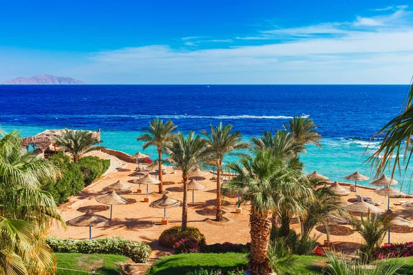 Praia Resort Ensolarado Com Palmeira Costa Mar Vermelho Sharm Sheikh — Fotografia de Stock