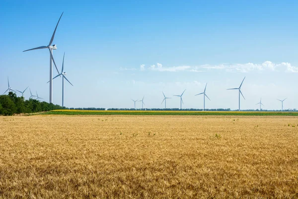 Campo Trigo Energia Eco Turbinas Eólicas — Fotografia de Stock