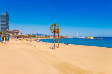 Barselona'daki Barceloneta plajı. Avuç içi güzel kum plaj. Mavi gökyüzü ile güneşli parlak bir gün. Katalonya, İspanya'nın ünlü turistik merkezi