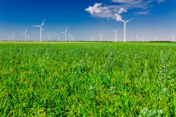 Turbiny Wiatrowe Wytwarzające Energię Elektryczną Polu Koncepcja Energii Ekologicznej Ekologicznej — Zdjęcie stockowe
