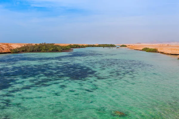 Mořské Pobřeží Mangrovy Národním Parku Ras Muhammad Slavné Cestování Poušti — Stock fotografie
