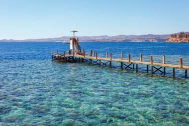 Yaz sıcağında Sharm el Sheikh, Sina, Mısır ve Asya 'da Kızıl Deniz kıyısında palmiye ağaçları olan güneşli bir tatil köyü. Ağız resifi ve kristal berrak su. Ünlü turist mekanı dalış ve şnorkelle yüzme