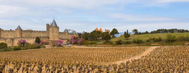Fransız antik kenti Carcassonne panoramik manzarası. Yüksek taş duvarları olan eski bir kale. Fransa, Güney Avrupa 'da ünlü turist yoksunluğu.