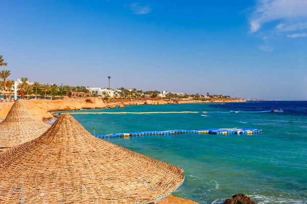 Sonniger Urlaubsstrand Mit Palmen Ufer Des Roten Meeres Sharm Sheikh — Stockfoto