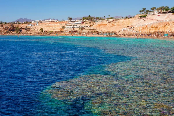 在埃及西奈半岛沙姆沙伊赫的红海沿岸 夏日炎热的阳光度假胜地海滩上 有棕榈树 口腔礁及晶莹清澈的海水 著名旅游胜地潜水和潜水 — 图库照片