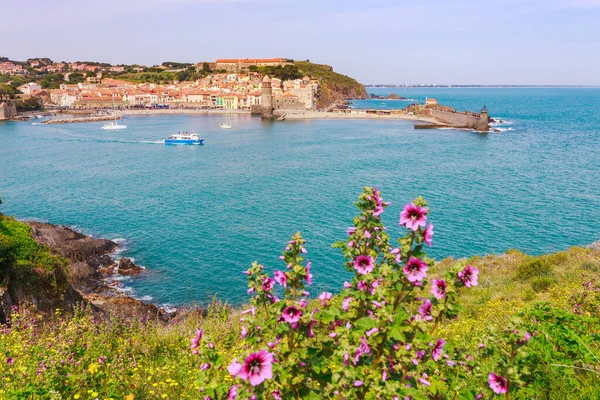 Panorama Collioure Harbour Languedoc Roussillon France South Europe Ancient Town — Stock Photo, Image