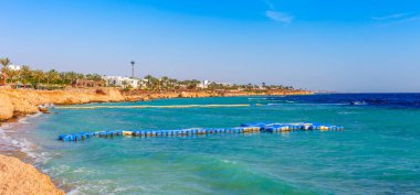 Şarm el Şeyh Kızıldeniz kıyısında palmiye ağacı ile Güneşli tatil plaj, Sina, Mısır, Asya yaz sıcak. Parlak güneşli ışık