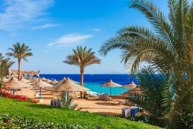 Şarm el Şeyh Kızıldeniz kıyısında palmiye ağacı ile Güneşli tatil plaj, Sina, Mısır, Asya yaz sıcak. Parlak güneşli ışık