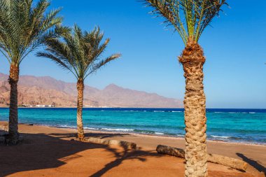 Yaz sıcağında Dahab, Sina, Mısır ve Asya 'da Kızıldeniz kıyılarındaki güneşli tatil köyü plajı. Sharm el Sheikh yakınlarında ünlü bir turizm merkezi. Parlak güneşli ışık