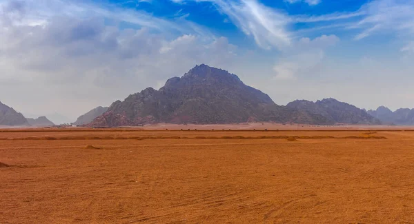 Wieczór Pobliżu Gór Pustyni Sinai Szarm Szejk Półwysep Synaj Egipt — Zdjęcie stockowe