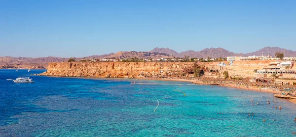 Playa Soleada Con Palmera Costa Del Mar Rojo Sharm Sheikh — Foto de Stock