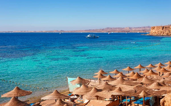 Sonniger Badestrand Mit Palmen Der Küste Des Roten Meeres Sharm — Stockfoto