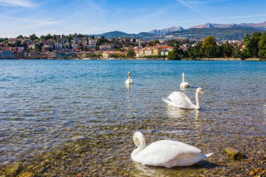 Lugano Gölü 'nün panorama manzarası, dağlar ve şehir Lugano, Ticino kantonu, İsviçre. Lüks villaları olan güzel bir İsviçre kasabası. Güney Avrupa 'nın ünlü turizm beldesi