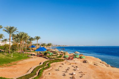 Yaz sıcağında Sharm el Sheikh, Sina, Mısır ve Asya 'da Kızıl Deniz kıyısında palmiye ağaçları olan güneşli bir tatil köyü. Ağız resifi ve kristal berrak su. Ünlü turist mekanı dalış ve şnorkelle yüzme