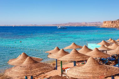 Yaz sıcağında Sharm el Sheikh, Sina, Mısır ve Asya 'da Kızıl Deniz kıyısında palmiye ağaçları olan güneşli bir tatil köyü. Ağız resifi ve kristal berrak su. Ünlü turist mekanı dalış ve şnorkelle yüzme