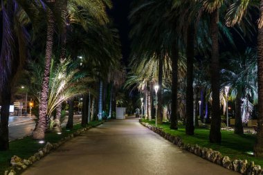 Gece görüşü Cannes, Cote d 'Azur, Fransa, Güney Avrupa. Güzel şehir ve Fransız Rivierası 'nın lüks tatil köyü. Güzel plajlı ünlü turizm merkezi ve Akdeniz kıyısında gezinti güvertesi.