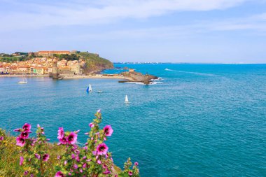 Collioure Limanı Panorama, Languedoc-Roussillon, Fransa, Güney Avrupa. Fransız Rivierası 'nın Vermillion kıyısında eski bir şatosu olan antik bir kasaba. Akdeniz 'deki ünlü turizm beldesi