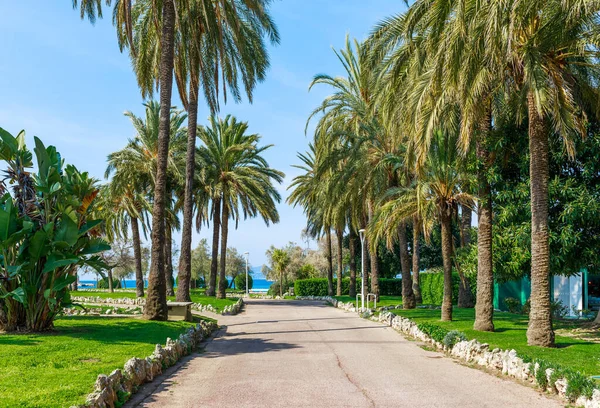 Cannes Panoraması, Cote d 'Azur, Fransa, Güney Avrupa. Güzel şehir ve Fransız Rivierası 'nın lüks tatil köyü. Güzel plajlı ünlü turizm merkezi ve Akdeniz kıyısında gezinti güvertesi.